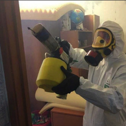 Уничтожение клопов в квартире. Сколково